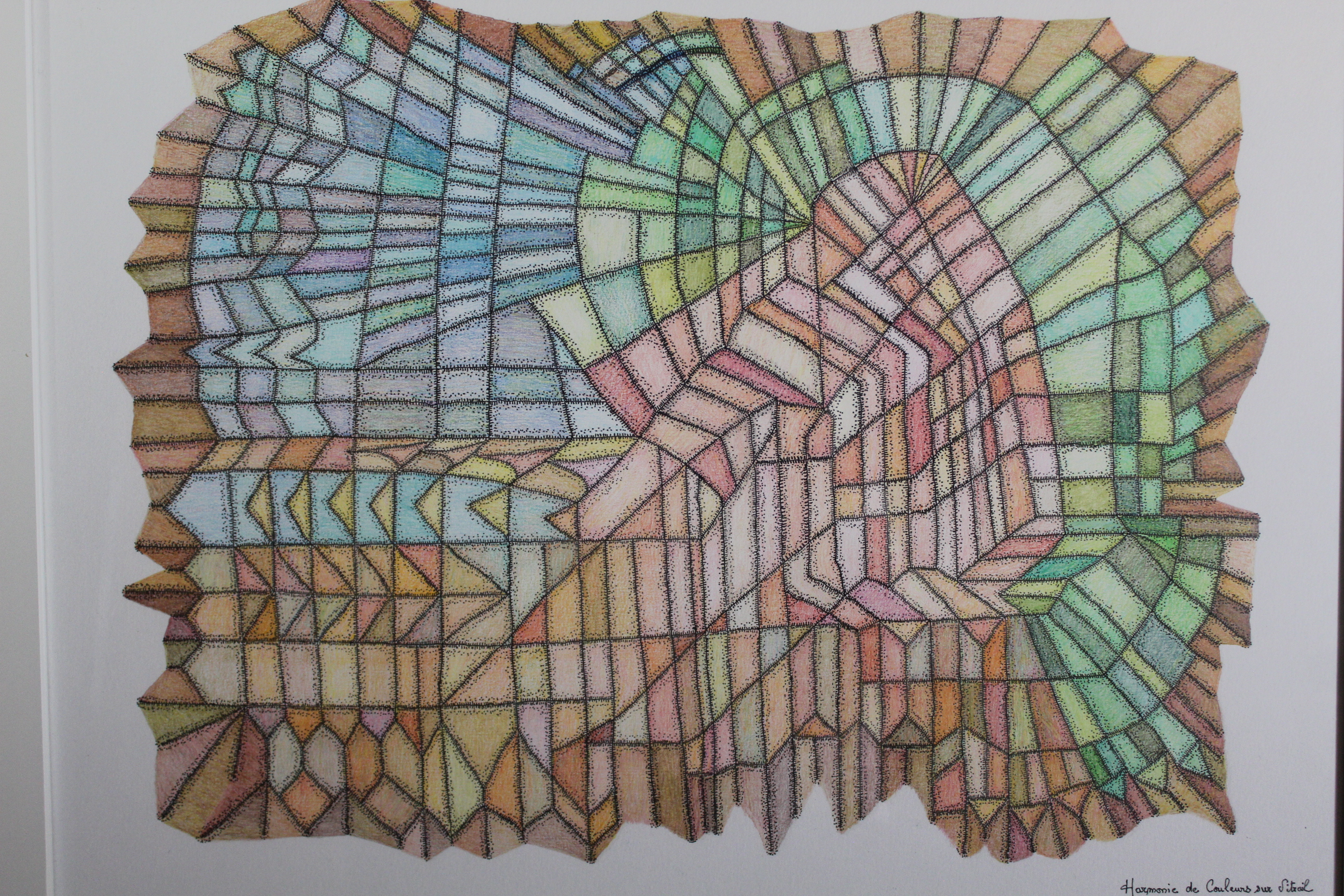 Œuvre encre et crayons série Nature 50x70cm
